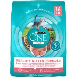Purina ONE +Plus Healthy Kitten Formula Natural Dry Cat Food & Purina Pro Plan Focus Kitten Favorites Variety Pack Canned Cat Food -Meow Meals 293524 PT1. AC SS1800 V1679925293