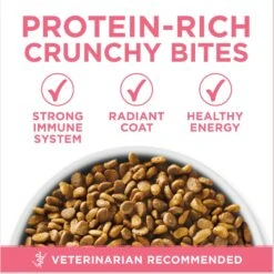Purina ONE +Plus Healthy Kitten Formula Natural Dry Cat Food & Purina Pro Plan Focus Kitten Favorites Variety Pack Canned Cat Food -Meow Meals 293524 PT4. AC SS1800 V1679927436