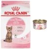 Royal Canin Feline Health Nutrition Kitten Spayed/Neutered Dry Cat Food & Royal Canin Feline Health Nutrition Thin Slices In Gravy Wet Kitten Food -Meow Meals 293766 MAIN. AC SS1800 V1678973918
