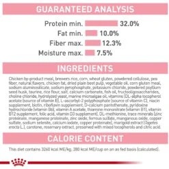 Royal Canin Feline Health Nutrition Kitten Spayed/Neutered Dry Cat Food & Royal Canin Feline Health Nutrition Thin Slices In Gravy Wet Kitten Food 18 Royal Canin Feline Health Nutrition Kitten Spayed/Neutered Dry Cat Food & Royal Canin Feline Health Nutrition Thin Slices In Gravy Wet Kitten Food -Meow Meals 293766 PT7. AC SS1800 V1678973921