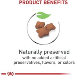 Royal Canin Feline Health Nutrition Kitten Spayed/Neutered Dry Cat Food & Royal Canin Feline Health Nutrition Thin Slices In Gravy Wet Kitten Food 19 Royal Canin Feline Health Nutrition Kitten Spayed/Neutered Dry Cat Food & Royal Canin Feline Health Nutrition Thin Slices In Gravy Wet Kitten Food -Meow Meals 293766 PT8. AC SS1800 V1678973972