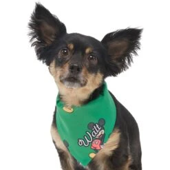 Disney Mickey Mouse Golden Days Personalized Dog & Cat Bandana -Meow Meals 294293 PT6. AC SS1800 V1625153291