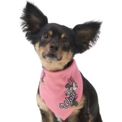 Disney Minnie Mouse Golden Days Personalized Dog & Cat Bandana -Meow Meals 294297 PT6. AC SS1800 V1625151804