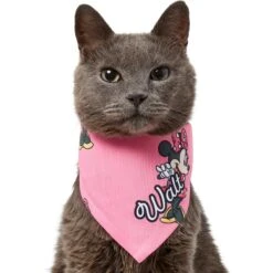 Disney Minnie Mouse Golden Days Personalized Dog & Cat Bandana -Meow Meals 294297 PT7. AC SS1800 V1625153917
