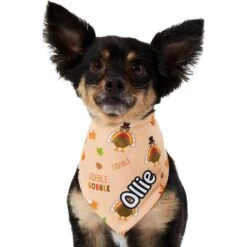 Frisco Quirky Thanksgiving Personalized Dog & Cat Bandana -Meow Meals 296986 PT6. AC SS1800 V1627654020