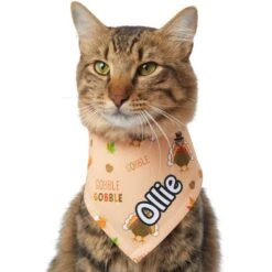 Frisco Quirky Thanksgiving Personalized Dog & Cat Bandana -Meow Meals 296986 PT7. AC SS1800 V1627654903