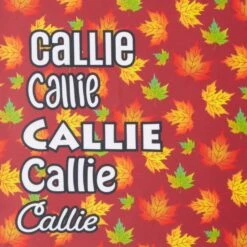 Frisco Fall Leaves Personalized Dog & Cat Bandana -Meow Meals 296994 PT4. AC SS1800 V1627654575