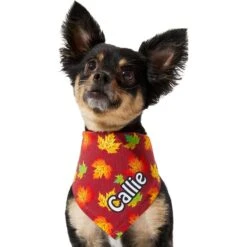 Frisco Fall Leaves Personalized Dog & Cat Bandana -Meow Meals 296994 PT6. AC SS1800 V1627654351