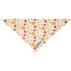 Frisco Pumpkin Spice Personalized Dog & Cat Bandana -Meow Meals 296998 PT3. AC SS1800 V1627654117