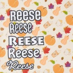 Frisco Pumpkin Spice Personalized Dog & Cat Bandana -Meow Meals 296998 PT4. AC SS1800 V1627655195