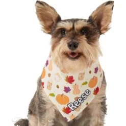 Frisco Pumpkin Spice Personalized Dog & Cat Bandana -Meow Meals 296998 PT6. AC SS1800 V1627654408
