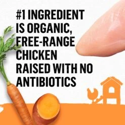 Purina Beyond Organic Chicken Variety Pack Pate Wet Cat Food, 3-oz Can, Case Of 6 -Meow Meals 297542 PT4. AC SS1800 V1700161837