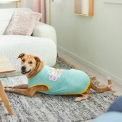 Disney Mickey & Minnie "Hip Hop Hooray" Dog & Cat T-Shirt -Meow Meals 297548 PT5. AC SS1800 V1640712466