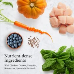 American Journey Kitten Chicken Recipe Grain-Free Dry Cat Food, 5-lb Bag & American Journey Kitten Pate Chicken Recipe Grain-Free Canned Cat Food, 3-oz, Case Of 24 -Meow Meals 297738 PT8. AC SS1800 V1694613385