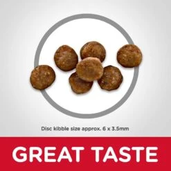 Hill's Science Diet Kitten Healthy Cuisine Tender Chicken & Rice Medley Canned Cat Food & Hill's Science Diet Indoor Kitten Dry Cat Food -Meow Meals 298098 PT6. AC SS1800 V1621287765