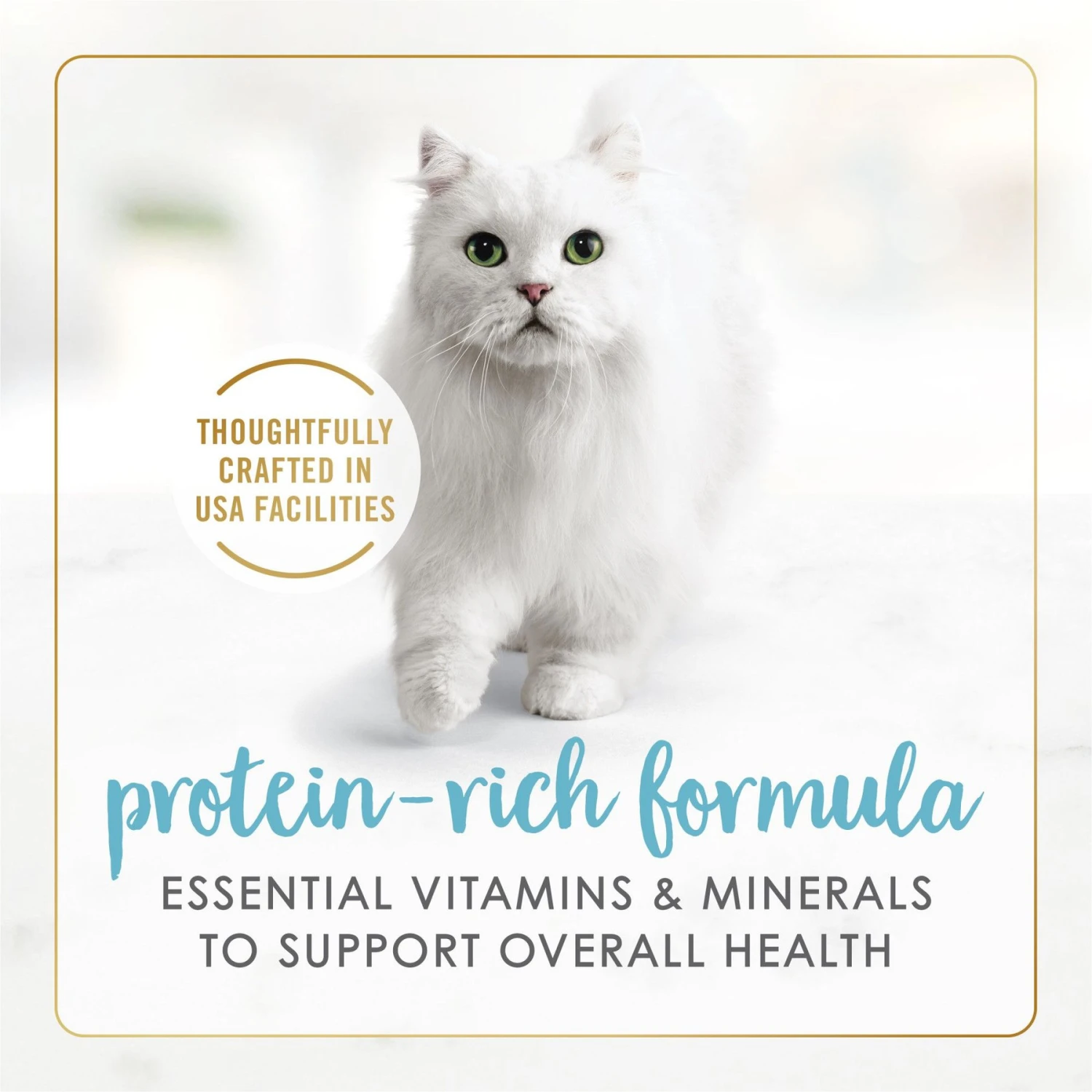 Tiny Tiger Chunks In Gravy Salmon & Whitefish Recipe Grain-Free Canned Cat Food & Fancy Feast Gravy Lovers Salmon & Sole Feast In Seared Salmon Flavor Gravy Gourmet Wet Cat Food 11 Tiny Tiger Chunks In Gravy Salmon & Whitefish Recipe Grain-Free Canned Cat Food & Fancy Feast Gravy Lovers Salmon & Sole Feast In Seared Salmon Flavor Gravy Gourmet Wet Cat Food - Image 9