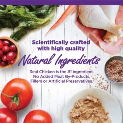 Wellness Complete Health Kitten Chicken Entree Recipe Natural Canned Cat Food & Wellness Complete Health Natural Grain-Free Deboned Chicken & Chicken Meal Dry Kitten Food 12 Wellness Complete Health Kitten Chicken Entree Recipe Natural Canned Cat Food & Wellness Complete Health Natural Grain-Free Deboned Chicken & Chicken Meal Dry Kitten Food -Meow Meals 298660 PT2. AC SS1800 V1621990640