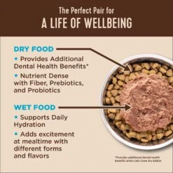 Wellness CORE Natural Grain-Free Turkey & Chicken Liver Pate Canned Kitten Food & Wellness CORE Grain-Free Salmon, Whitefish & Herring Pate Canned Kitten & Cat Food -Meow Meals 298714 PT7. AC SS1800 V1621985912