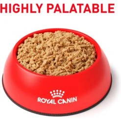 Royal Canin Veterinary Diet Adult Gastrointestinal Loaf In Sauce Canned Cat Food -Meow Meals 299279 PT2. AC SS1800 V1692048532