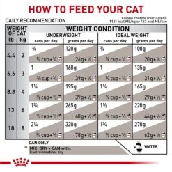 Royal Canin Veterinary Diet Adult Gastrointestinal Loaf In Sauce Canned Cat Food -Meow Meals 299279 PT8. AC SS1800 V1691702089