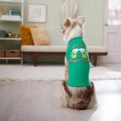 Frisco Let's Get Shamrocked Dog & Cat T-Shirt -Meow Meals 300184 PT8. AC SS1800 V1639597401