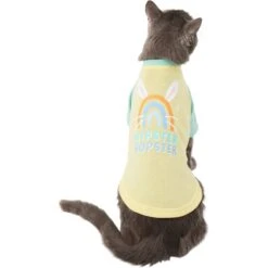 Frisco Hipster Hopster Dog & Cat T-Shirt 10 Frisco Hipster Hopster Dog & Cat T-Shirt -Meow Meals 300638 PT2. AC SS1800 V1641538001