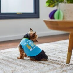 Frisco I'm A Little Eggs-tra Dog & Cat T-Shirt -Meow Meals 300646 PT5. AC SS1800 V1641542509