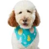 Frisco Spring Easter Egg Dog & Cat Bandana -Meow Meals 300663 MAIN. AC SS1800 V1641507404