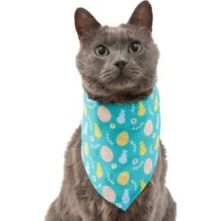 Frisco Spring Easter Egg Dog & Cat Bandana -Meow Meals 300663 PT2. AC SS1800 V1641537094