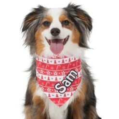 Frisco Fair Isle Personalized Dog & Cat Bandana -Meow Meals 301357 PT6. AC SS1800 V1628100112