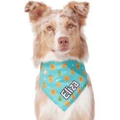 Frisco Gingerbread Cookie Personalized Dog & Cat Bandana -Meow Meals 301361 PT6. AC SS1800 V1628100109