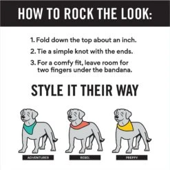 Frisco Santa's Favorite Elf Personalized Dog & Cat Bandana -Meow Meals 301369 PT2. AC SS1800 V1623274661