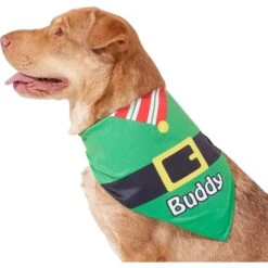 Frisco Santa's Favorite Elf Personalized Dog & Cat Bandana -Meow Meals 301369 PT6. AC SS1800 V1628100146
