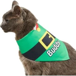 Frisco Santa's Favorite Elf Personalized Dog & Cat Bandana -Meow Meals 301369 PT7. AC SS1800 V1628100114