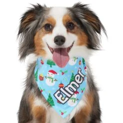 Frisco Snowman & Presents Personalized Dog & Cat Bandana -Meow Meals 301373 PT6. AC SS1800 V1628100374