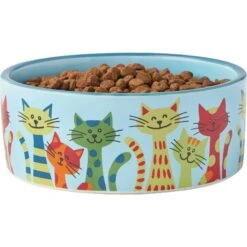 Frisco New York Non-skid Ceramic Cat Dish & Frisco New York Non-skid Ceramic Cat Bowl -Meow Meals 302488 PT6. AC SS1800 V1623041543