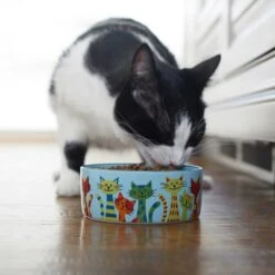 Frisco New York Non-skid Ceramic Cat Dish & Frisco New York Non-skid Ceramic Cat Bowl -Meow Meals 302488 PT8. AC SS1800 V1623091056