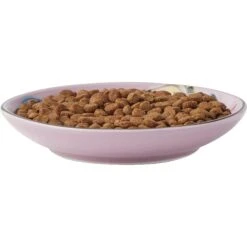 Frisco Paris Non-skid Ceramic Cat Dish & Frisco Paris Non-skid Ceramic Cat Dish -Meow Meals 302490 PT2. AC SS1800 V1623058041
