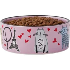 Frisco Paris Non-skid Ceramic Cat Dish & Frisco Paris Non-skid Ceramic Cat Dish -Meow Meals 302490 PT6. AC SS1800 V1623067060