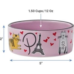 Frisco Paris Non-skid Ceramic Cat Dish & Frisco Paris Non-skid Ceramic Cat Dish -Meow Meals 302490 PT7. AC SS1800 V1623054762