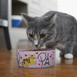 Frisco Paris Non-skid Ceramic Cat Dish & Frisco Paris Non-skid Ceramic Cat Dish -Meow Meals 302490 PT8. AC SS1800 V1623043046