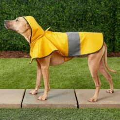 Frisco Lightweight Rainy Days Dog Raincoat & Frisco Lightweight Flamingo Dog Raincoat 15 Frisco Lightweight Rainy Days Dog Raincoat & Frisco Lightweight Flamingo Dog Raincoat -Meow Meals 302828 PT4. AC SS1800 V1623042144