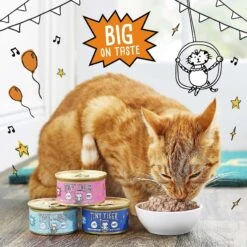 Tiny Tiger Pate Seafood Recipes Variety Pack Grain-Free Canned Cat Food & Tiny Tiger Crunchy Bunch, Fins Of Fury, Seafood Flavor Cat Treats -Meow Meals 303758 PT3. AC SS1800 V1623047847