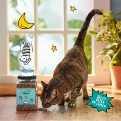 Tiny Tiger Pate Seafood Recipes Variety Pack Grain-Free Canned Cat Food & Tiny Tiger Crunchy Bunch, Fins Of Fury, Seafood Flavor Cat Treats -Meow Meals 303758 PT7. AC SS1800 V1623070957