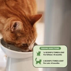 PetHonesty Digestive Probiotics+ Premium Gut + Immune Health Cat Supplement -Meow Meals 309756 PT4. AC SS1800 V1691002972