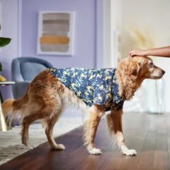 Disney Lion King's Simba Jungle Dog & Cat Shirt -Meow Meals 311842 PT8. AC SS1800 V1643323713