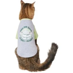 STAR WARS THE MANDALORIAN GROGU "Doesn't Listen" Dog & Cat Raglan T-shirt 10 STAR WARS THE MANDALORIAN GROGU "Doesn't Listen" Dog & Cat Raglan T-shirt -Meow Meals 311884 PT2. AC SS1800 V1643330856