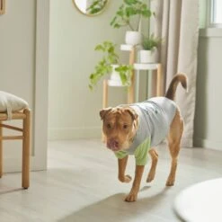 STAR WARS THE MANDALORIAN GROGU "Doesn't Listen" Dog & Cat Raglan T-shirt 13 STAR WARS THE MANDALORIAN GROGU "Doesn't Listen" Dog & Cat Raglan T-shirt -Meow Meals 311884 PT8. AC SS1800 V1643325840