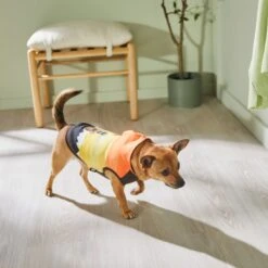 STAR WARS THE MANDALORIAN & GROGU Colorblock Dog & Cat Hoodie 15 STAR WARS THE MANDALORIAN & GROGU Colorblock Dog & Cat Hoodie -Meow Meals 311892 PT8. AC SS1800 V1643325712