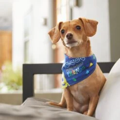 Pixar Monster's Inc "Monsters Make The Best Friends" Dog & Cat Bandana -Meow Meals 311940 PT8. AC SS1800 V1643330938